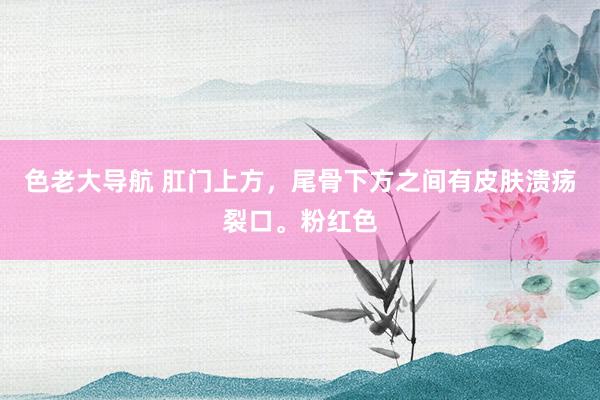 色老大导航 肛门上方,尾骨下方之间有皮肤溃疡裂口。粉红色