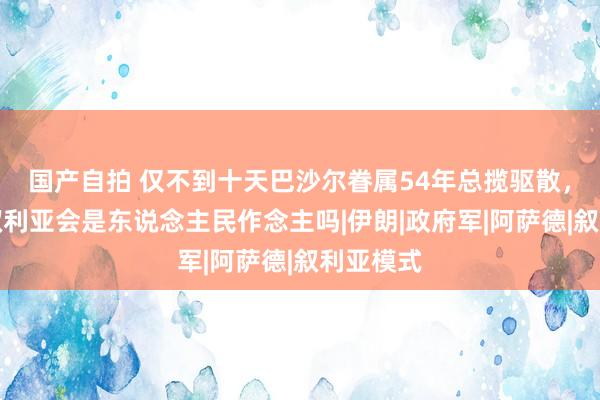 国产自拍 仅不到十天巴沙尔眷属54年总揽驱散，以后的叙利亚会是东说念主民作念主吗|伊朗|政府军|阿萨德|叙利亚模式