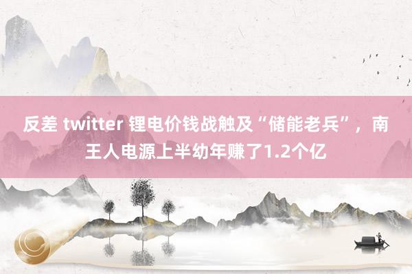 反差 twitter 锂电价钱战触及“储能老兵”，南王人电源上半幼年赚了1.2个亿