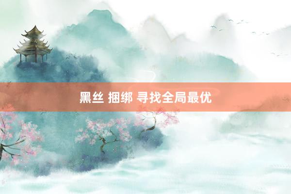 黑丝 捆绑 寻找全局最优